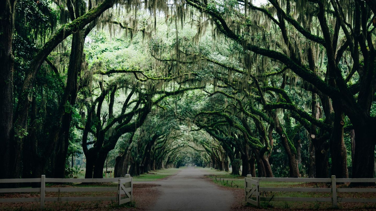 La face sombre de l'Amérique profonde