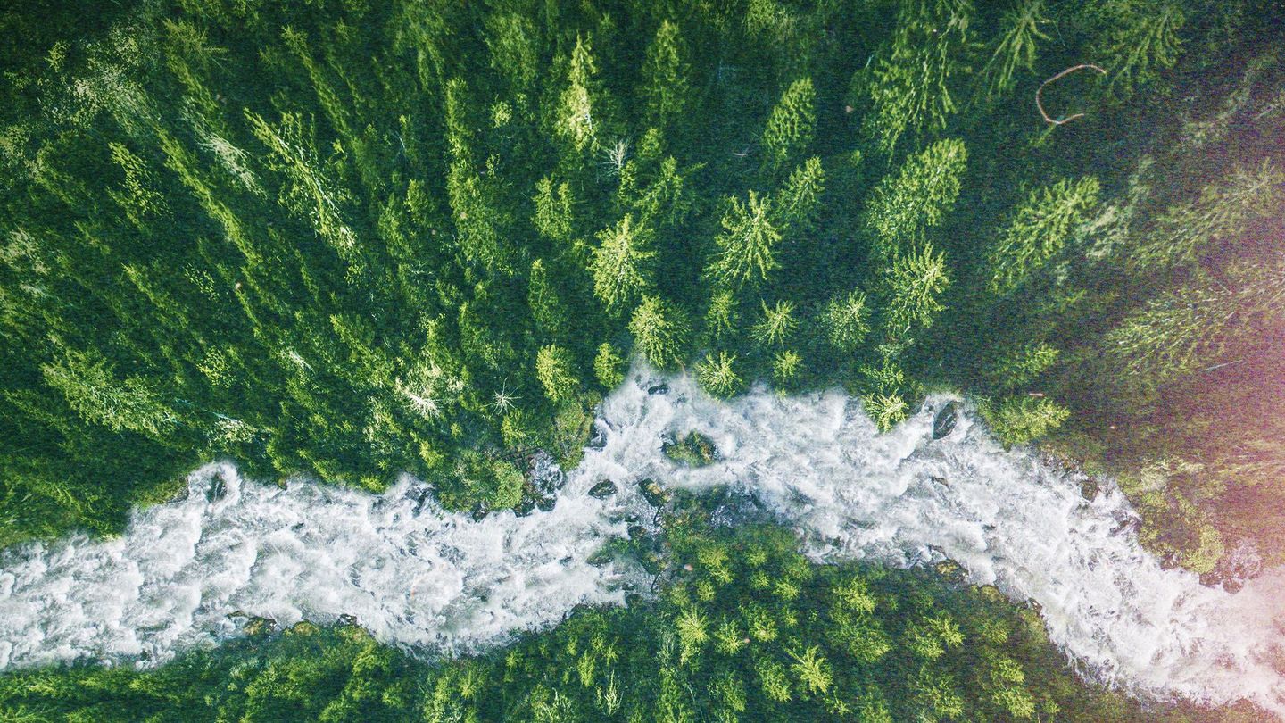 La rivière sans retour