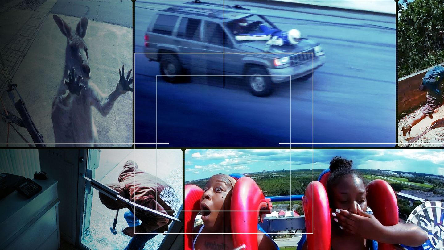 Sur le vif : vidéos insolites