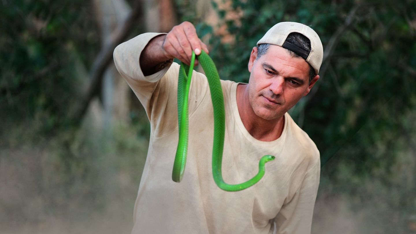 Wild Frank and the Kiss of the Black Mamba