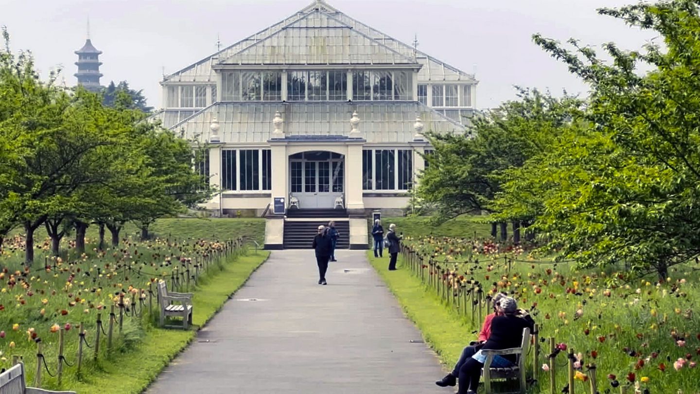 Les jardins botaniques : Un sanctuaire pour la flore
