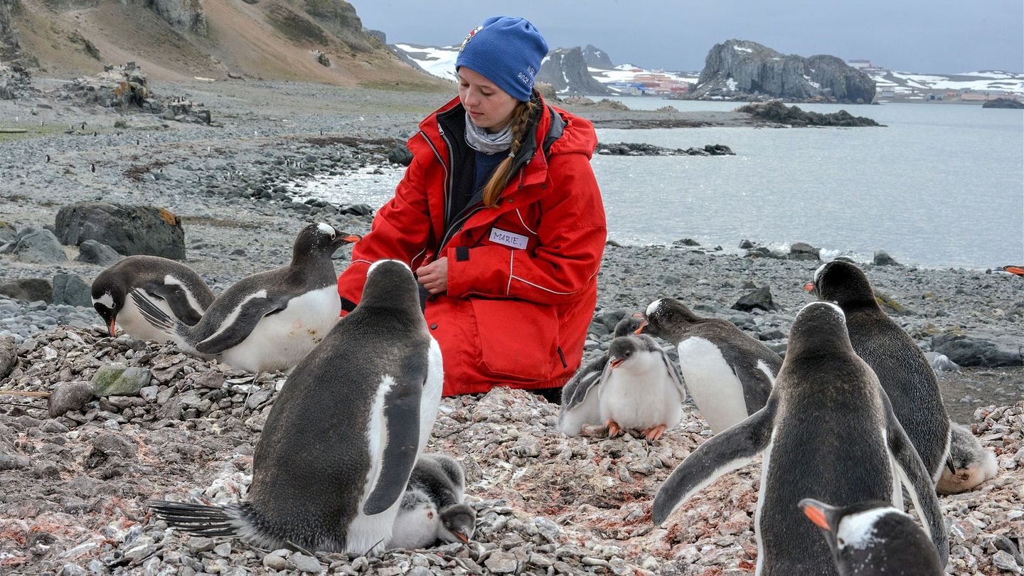 Un an dans les glaces de l'Antarctique