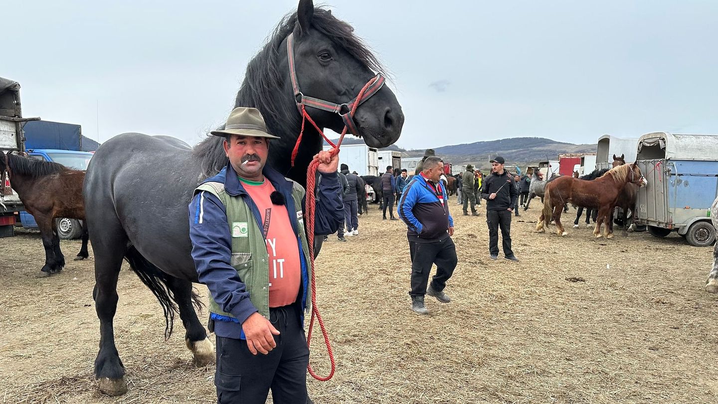 Roumanie : les marchés aux chevaux contestés,