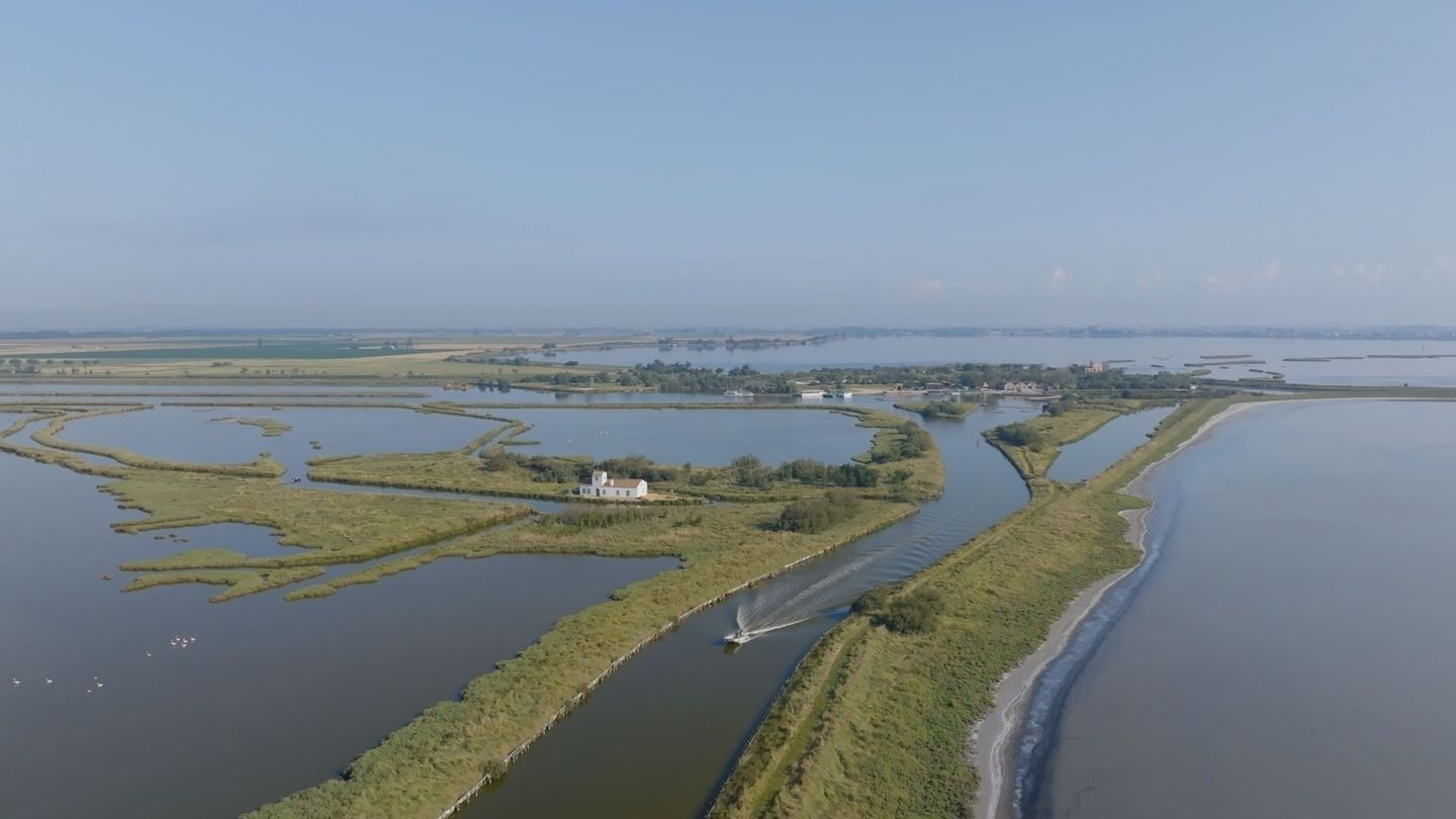 Les délices d'Emilie-Romagne