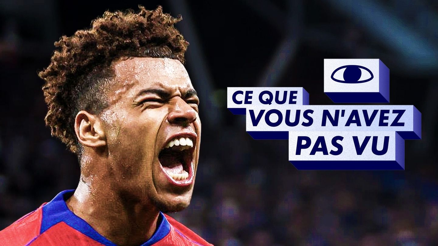 Ce que vous n'avez pa vu