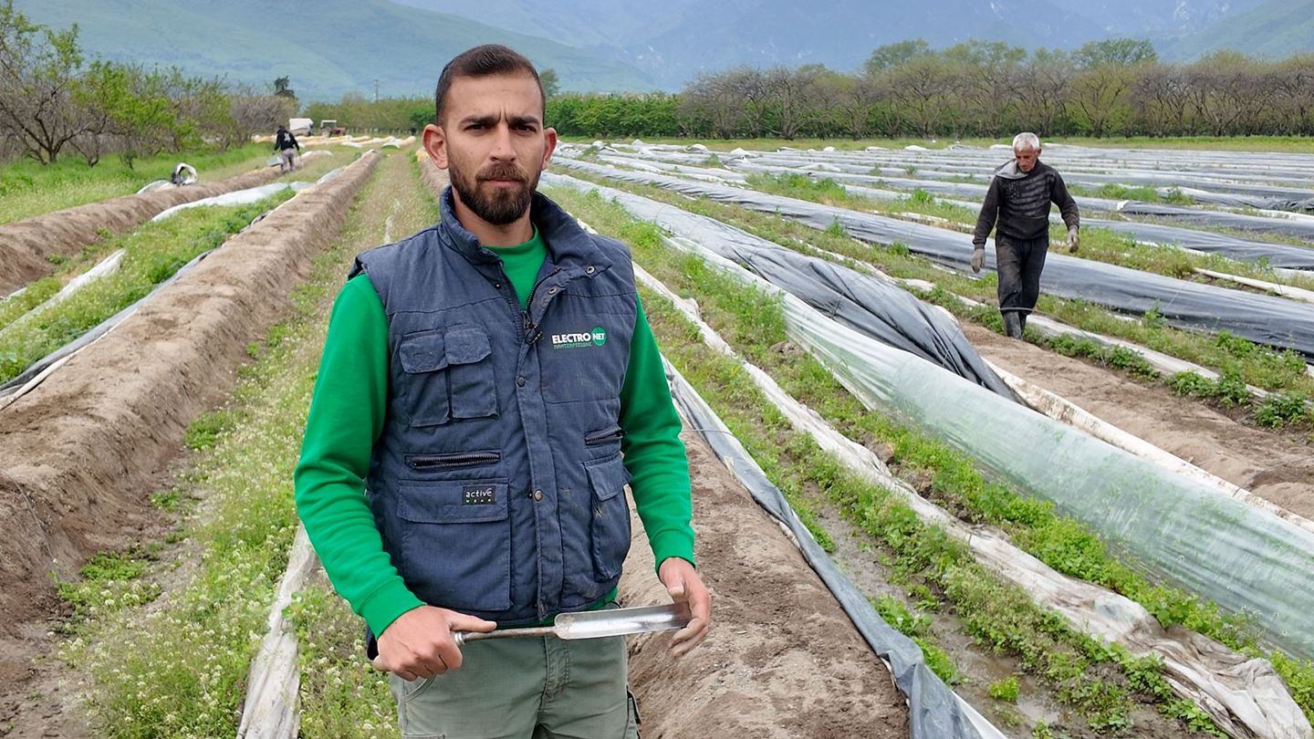 L'asperge grecque défie la concurrence