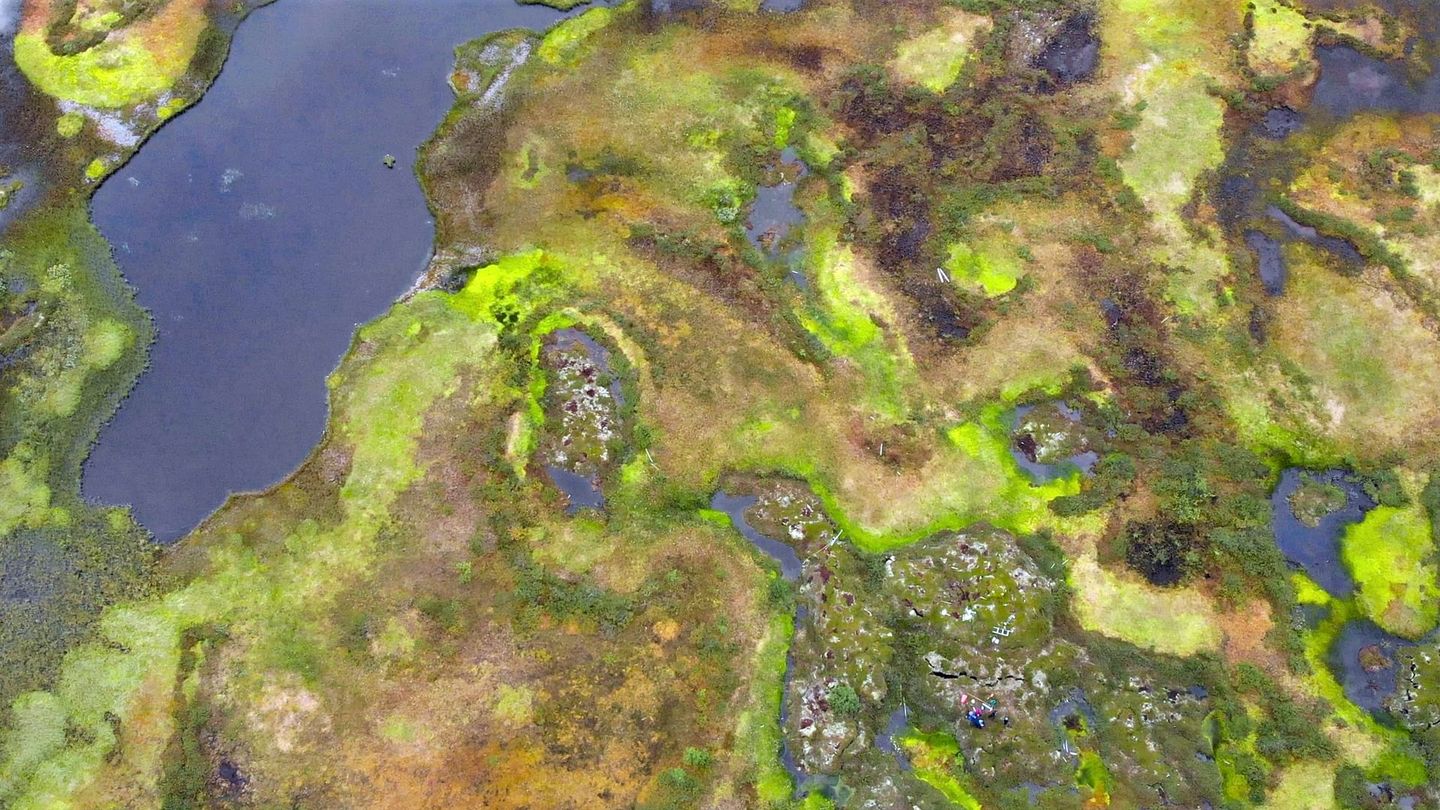 Le mystère des tourbières