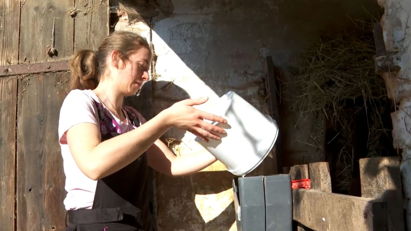 Jeunes agricultrices : entre passion et incertitudes - Marie, éleveuse malgré tout