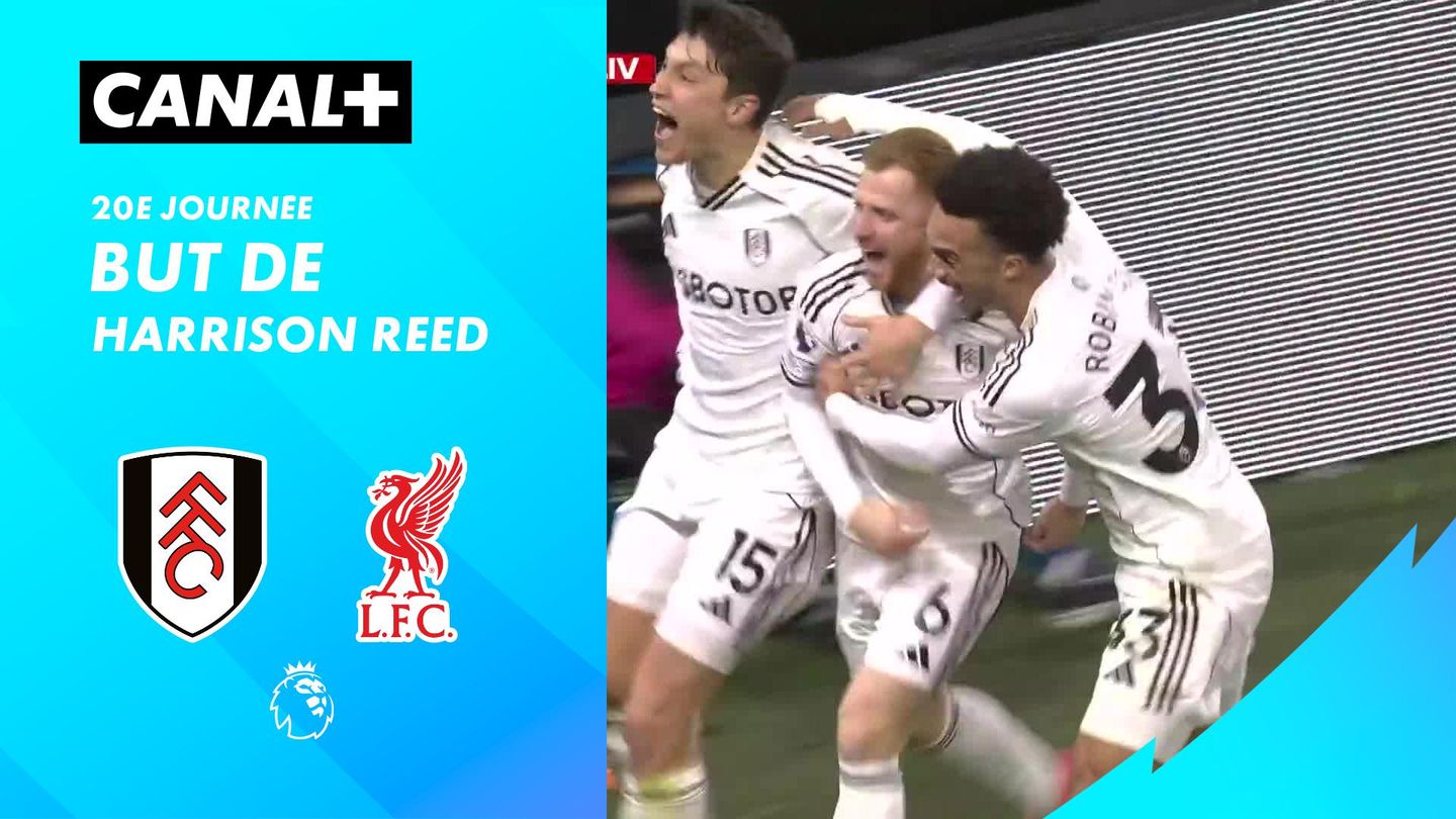 Le but de Harrison Reed contre Liverpool (97')