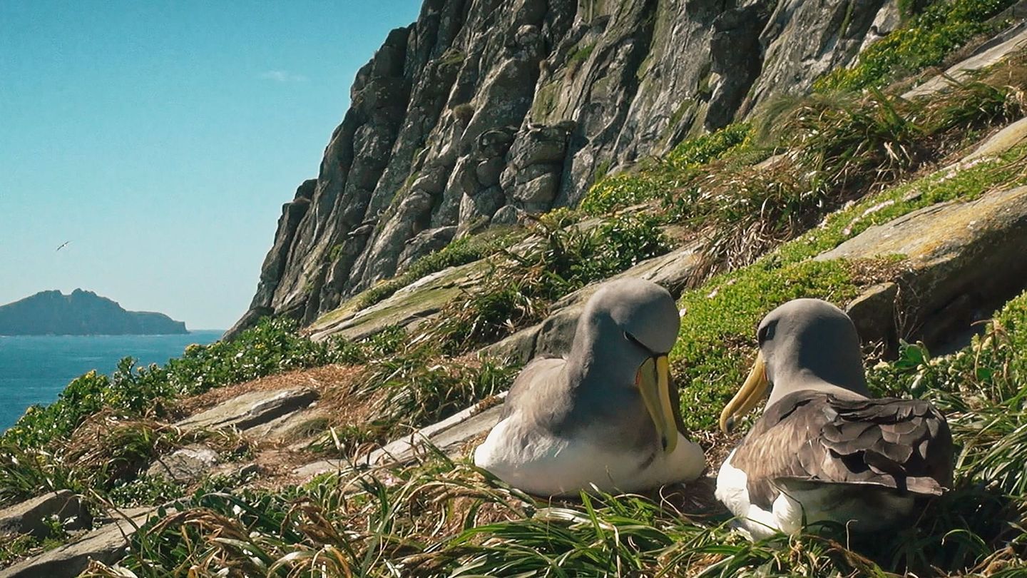 Nouvelle-Zélande, embarquement pour un voyage inédit