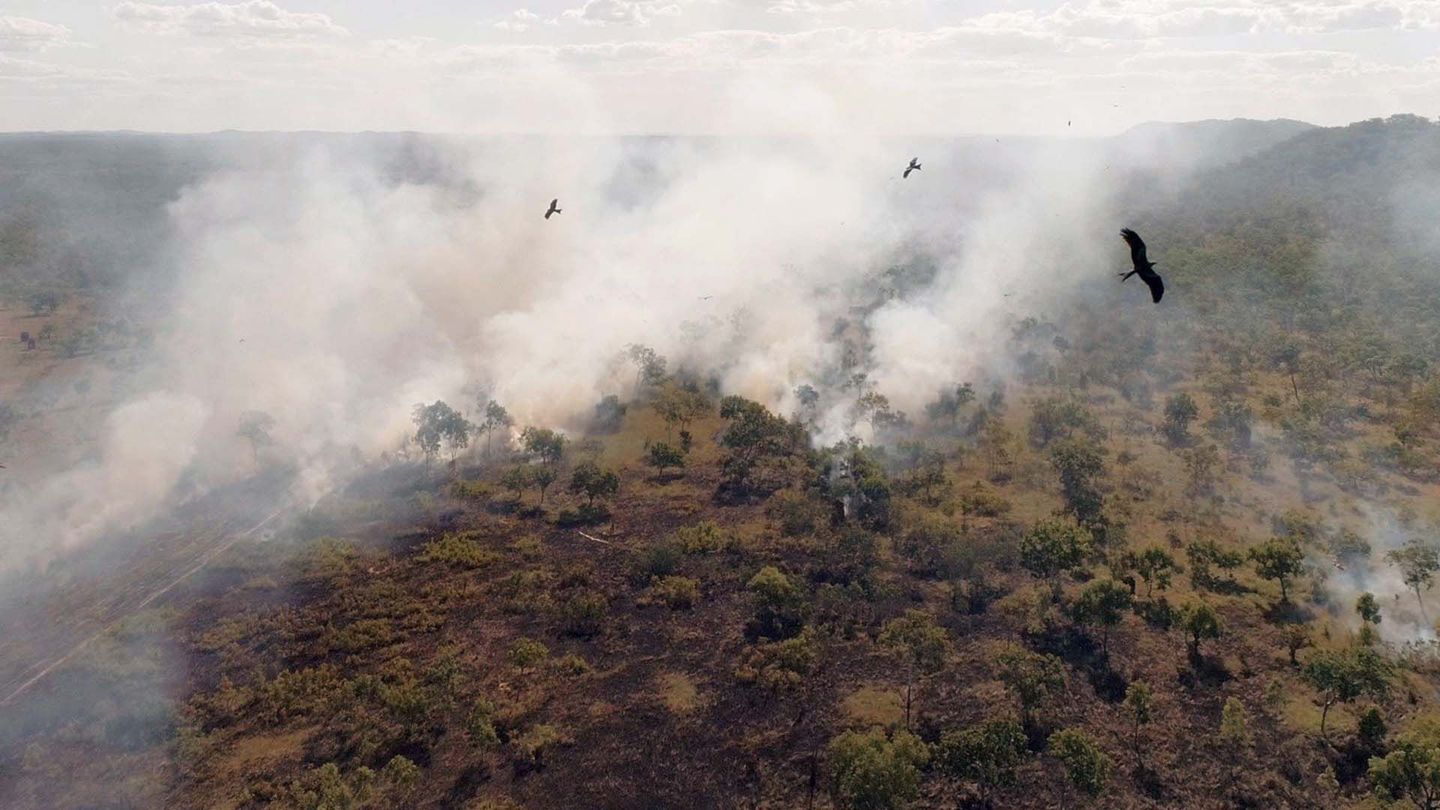 Survivre aux catastrophes : les stratégies de la nature