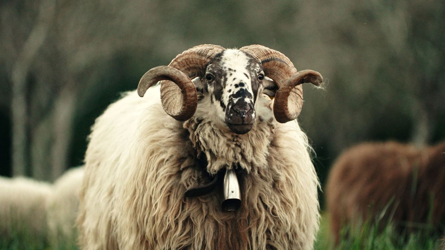 Italie : Des fermes pas comme les autres