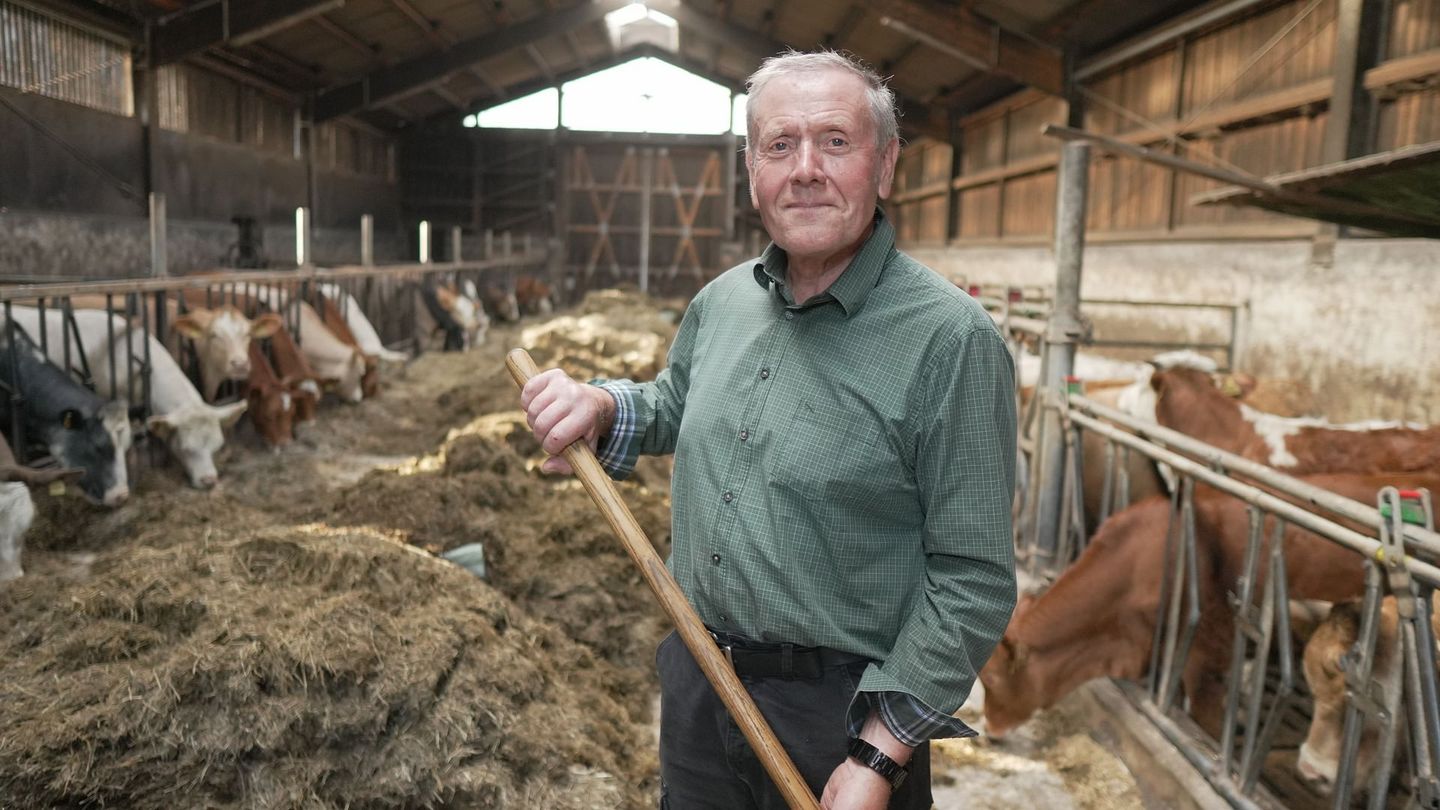 Une histoire de l'agriculture : Collectivisation et remembrement