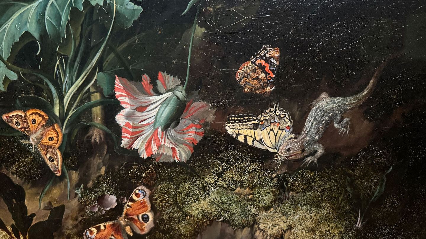L'art et la nature : Peintres néerlandaises du XVIIe siècle