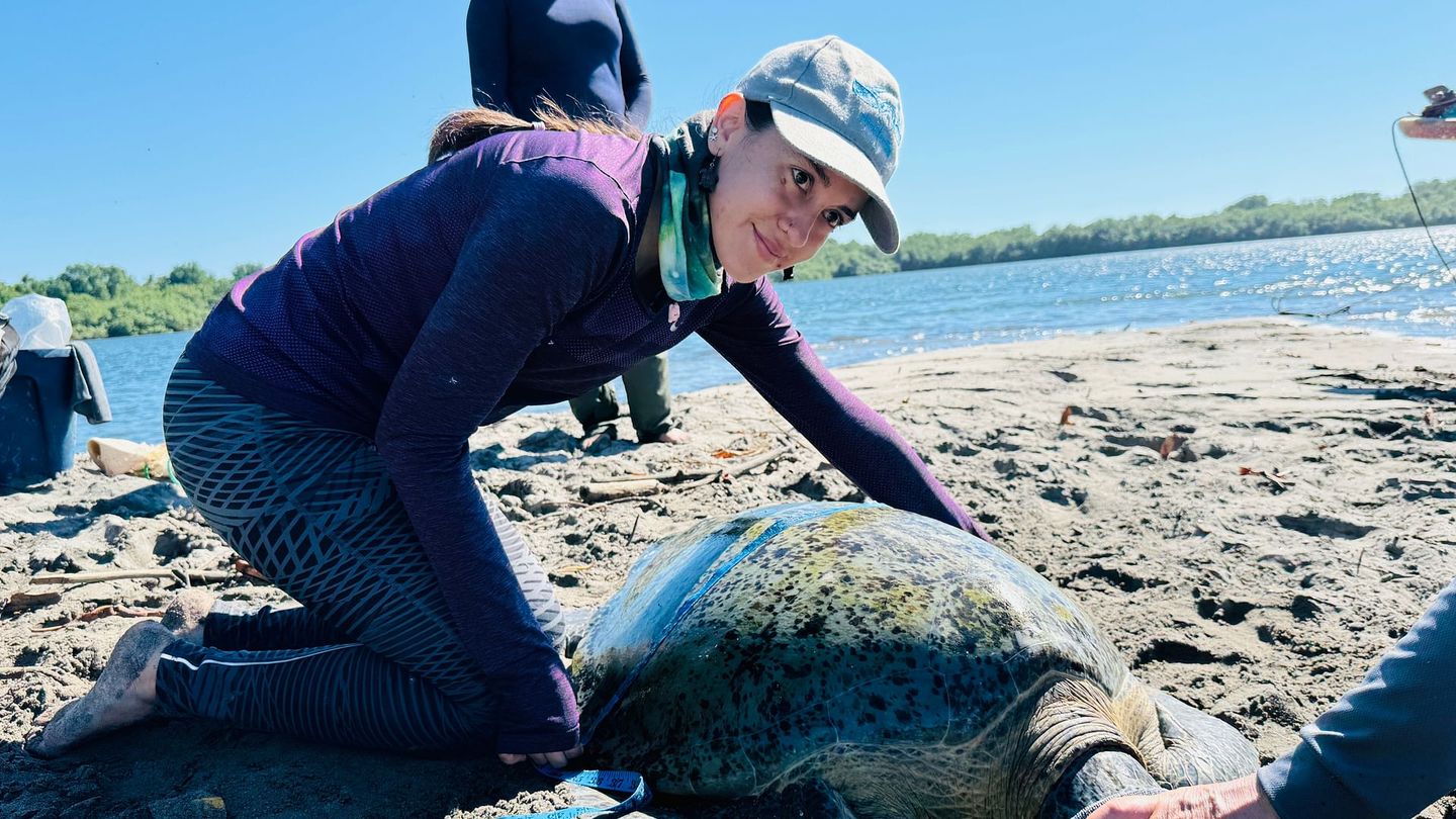 Le Salvador : Entre cratères et rivages