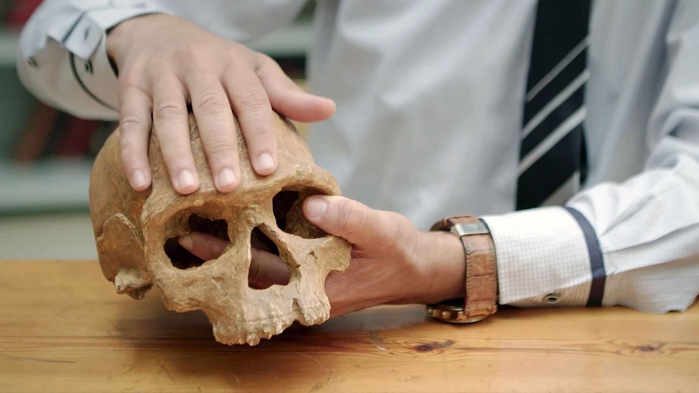 Homo sapiens, les nouvelles origines