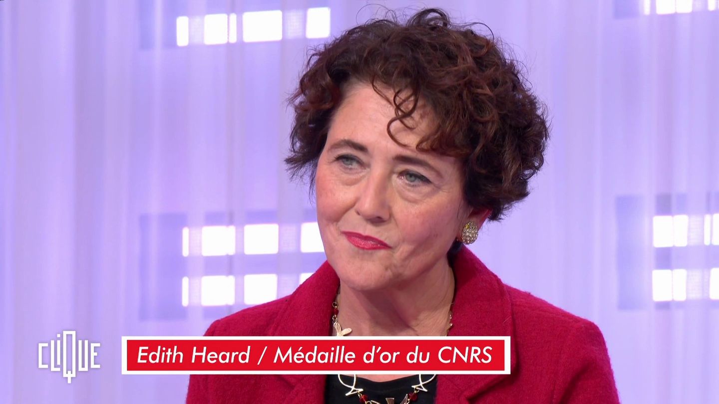 Edith Heard : "L'humain ne va pas survivre si la planète ne le soutient pas."