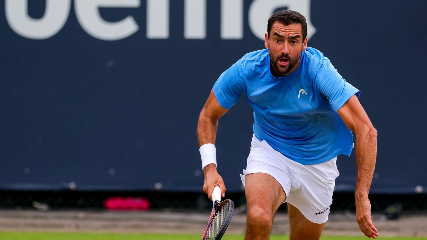 ATP 250 's-Hertogenbosch