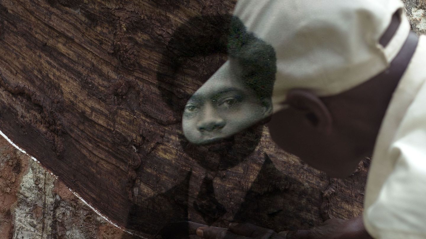 L'arbre de l'authenticité