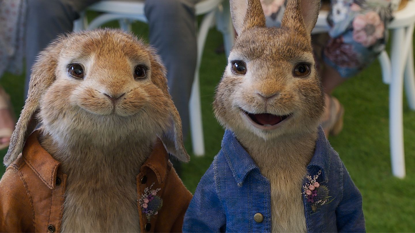 Piotruś Królik 2: Na gigancie