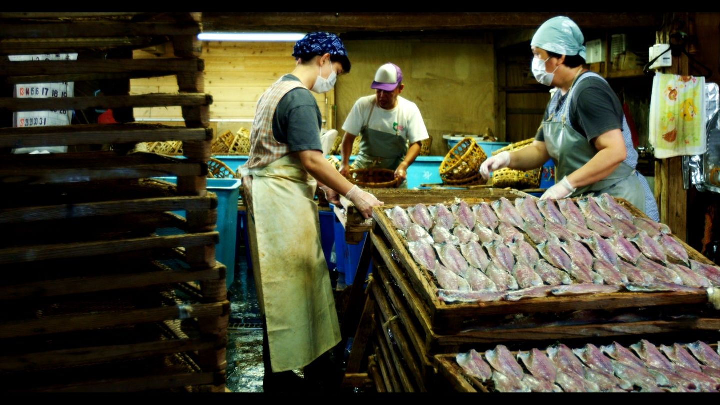 Wszystkie smaki fermentacji