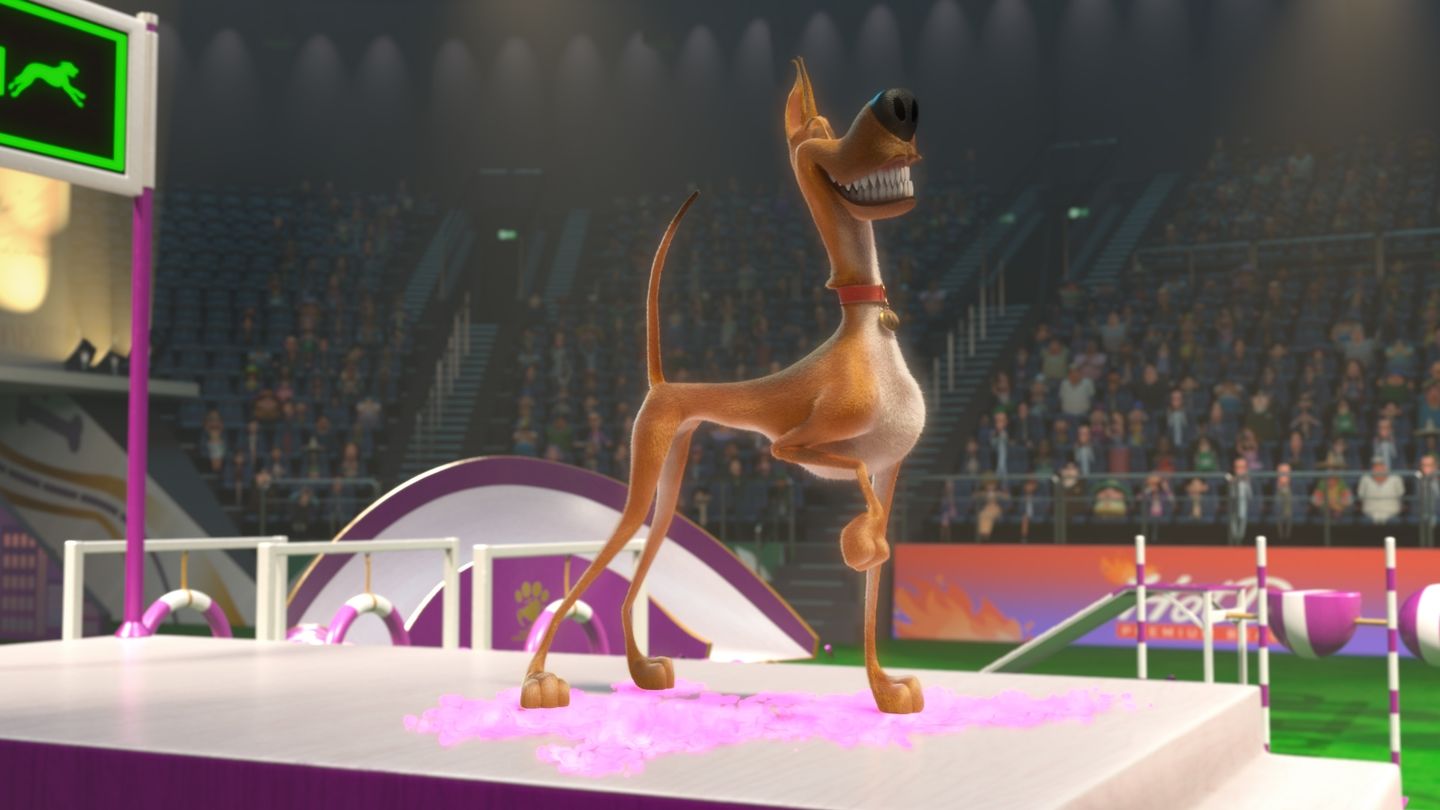 Pies w rozmiarze XXL