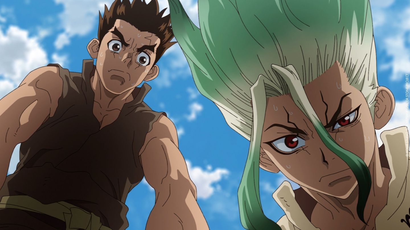 Dr. Stone
