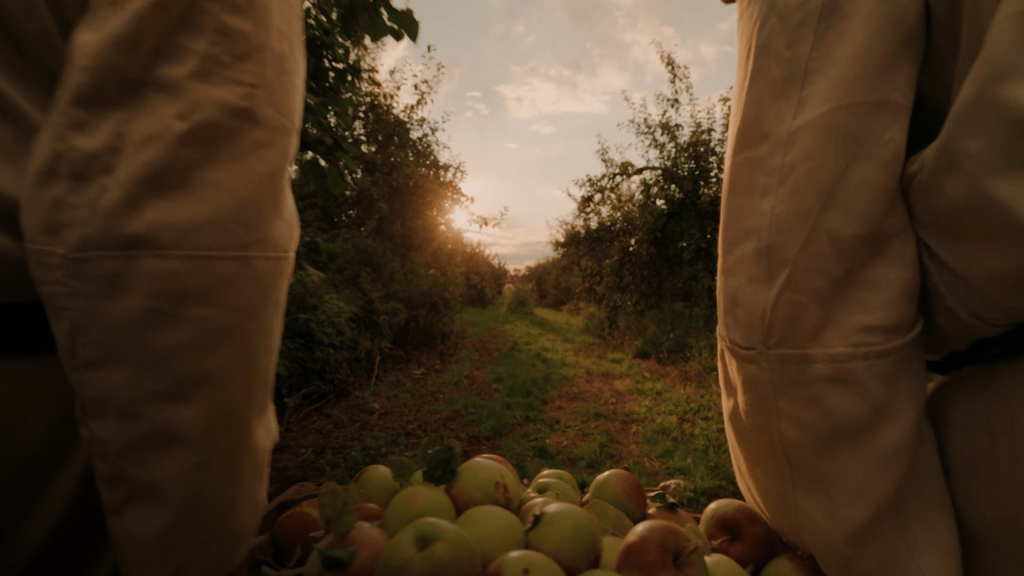 Więźniowie jabłek