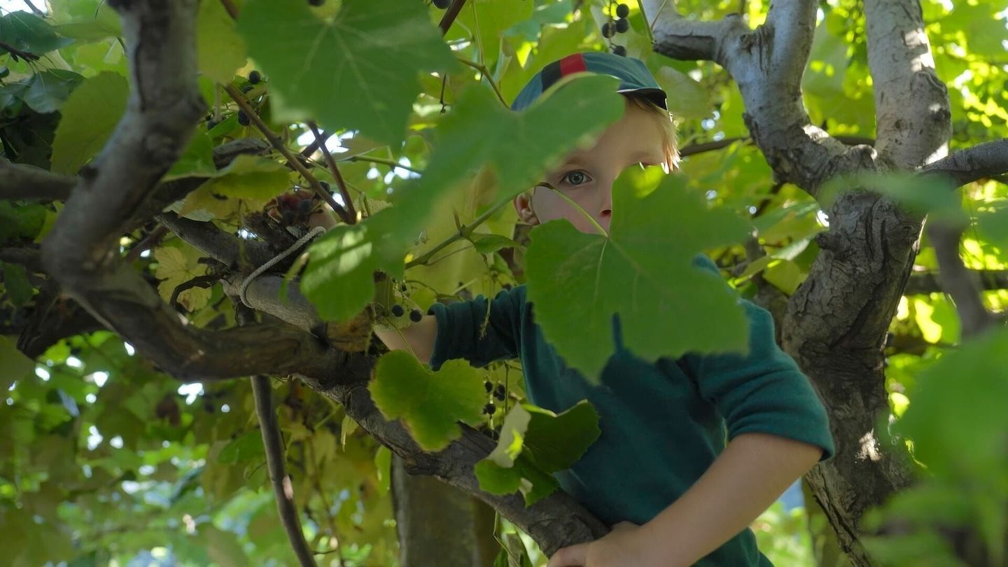 Reviving Switzerland's Isolated Villages