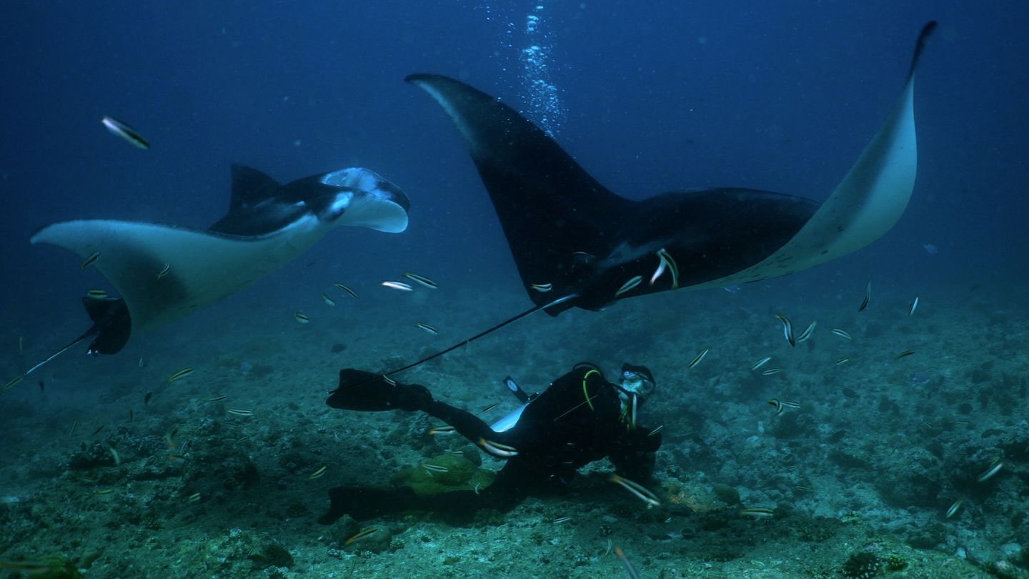 Malediwy. Wodne królestwo Oceanu Indyjskiego