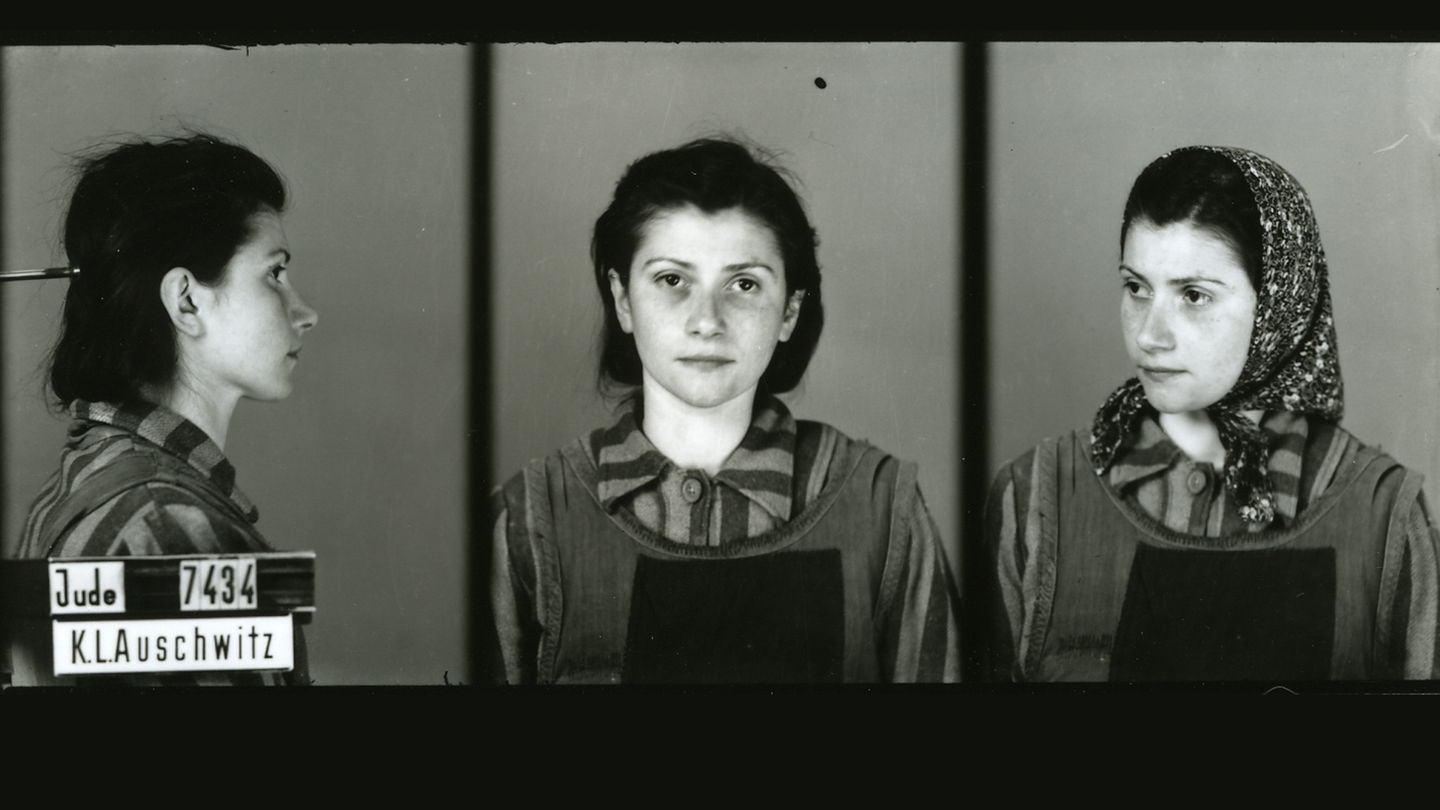 Auschwitz. Głosy świadków