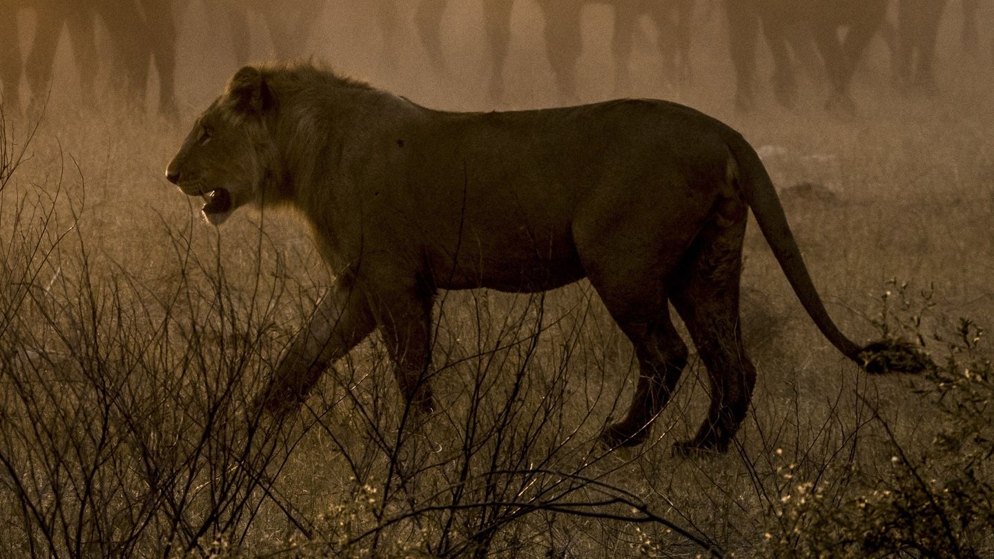 Natura. Proces ciągłej zmiany