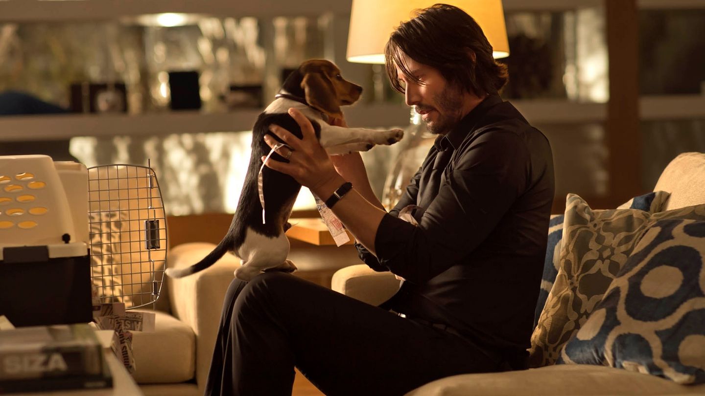 John Wick: Będzie bolało
