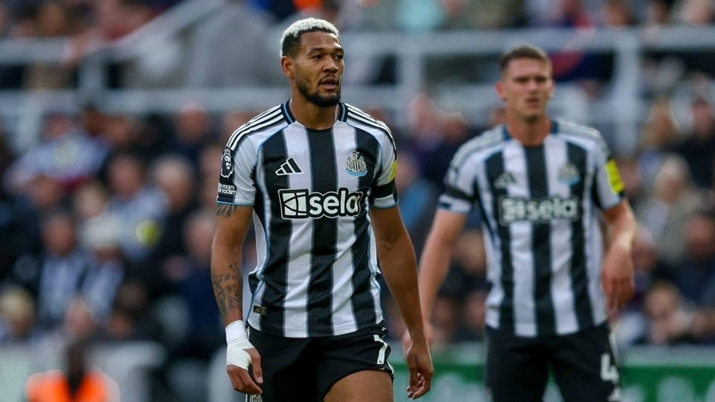 Brighton & Hove Albion - Newcastle United