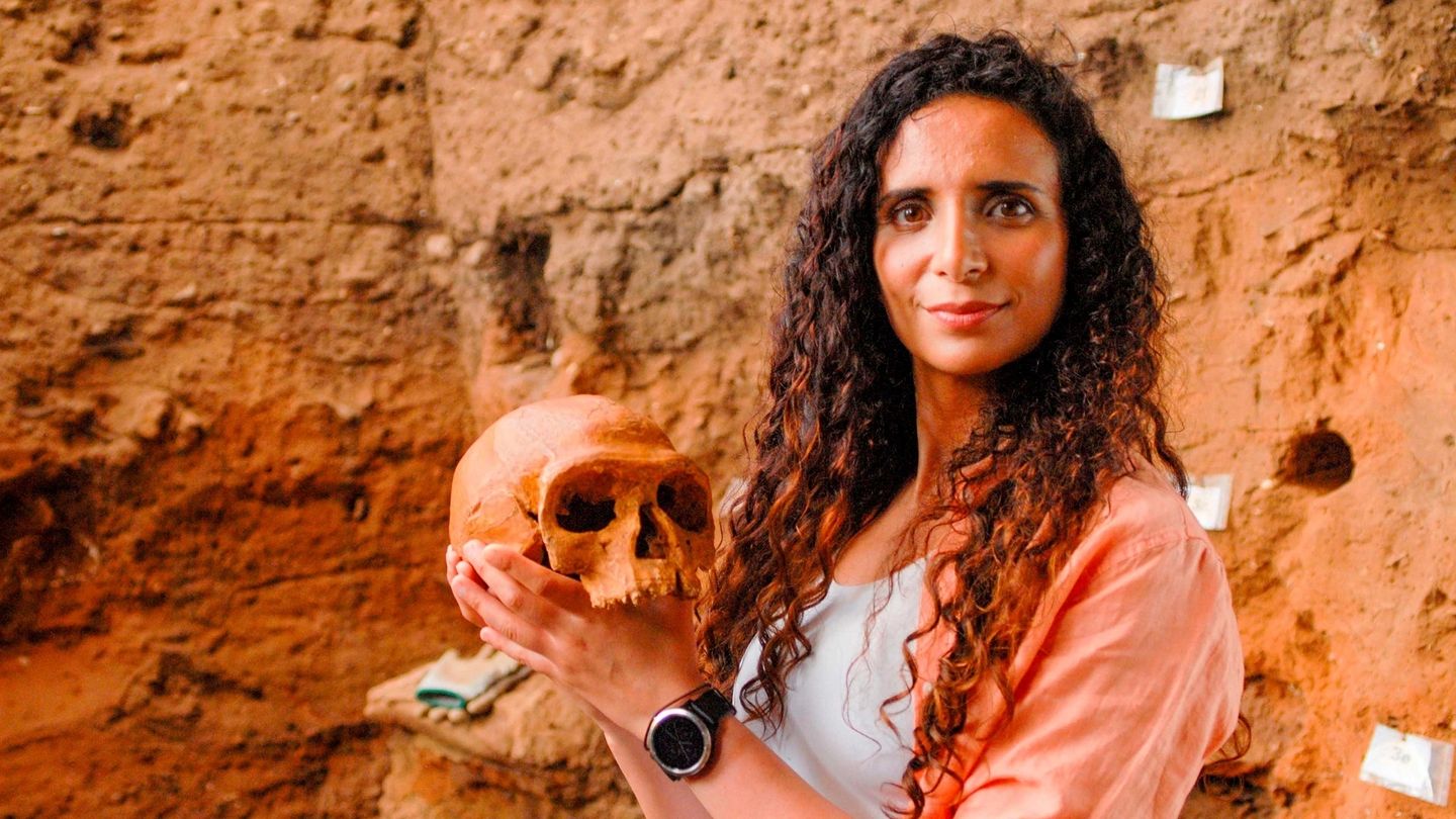 Człowiek: historia ewolucji