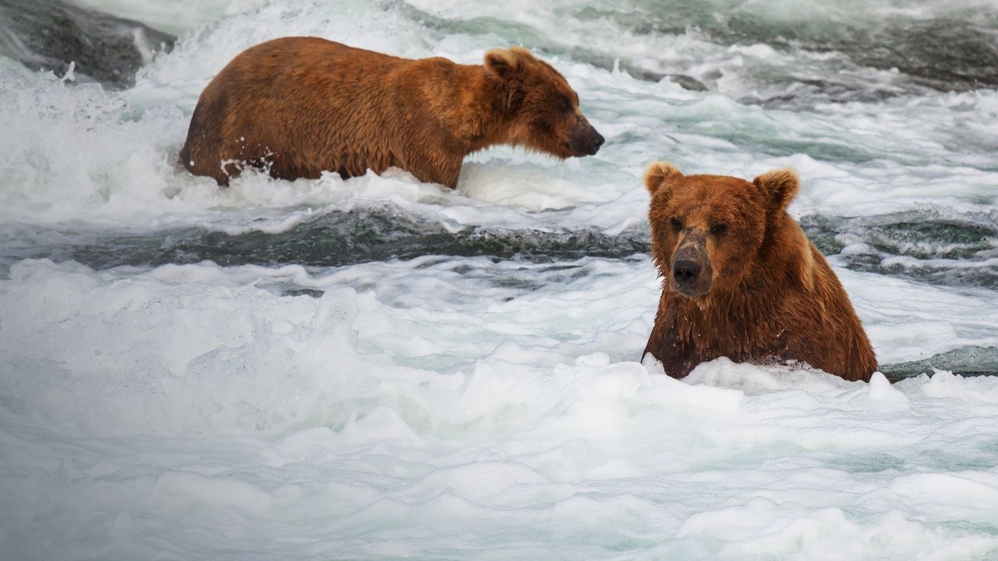 Igrając ze śmiercią. Alaska - życie na krawędzi