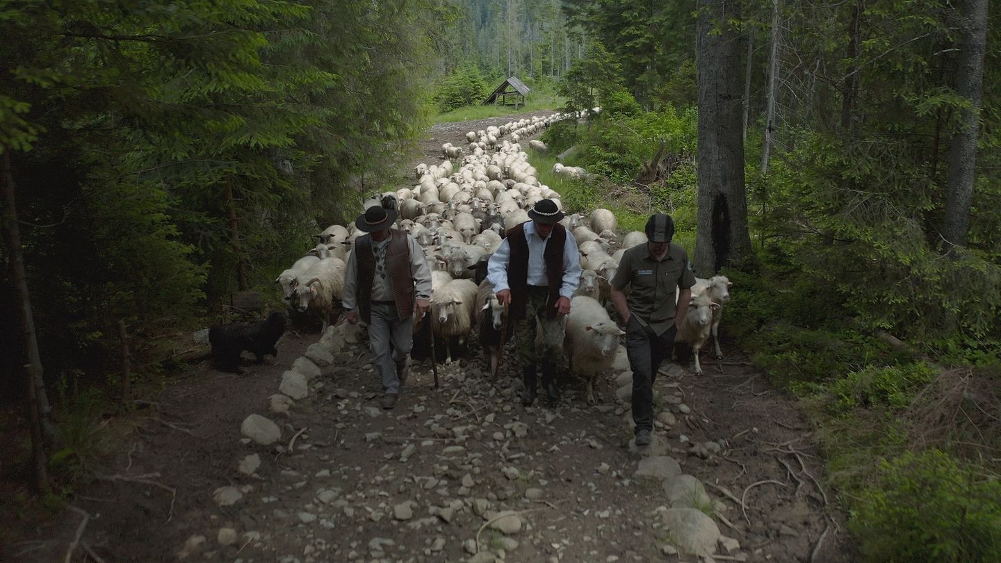 Patrol Tatry