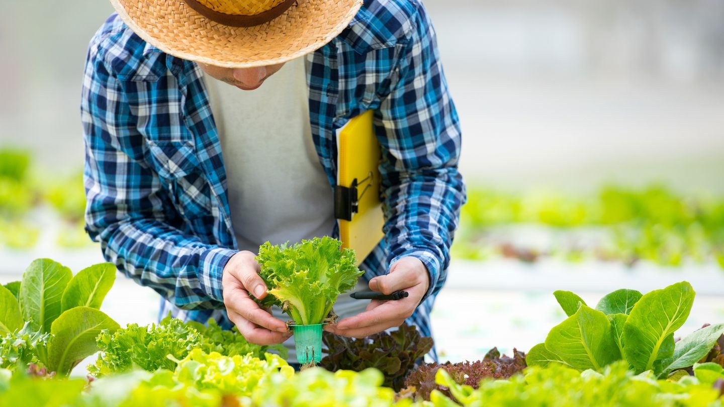 Agro kurier