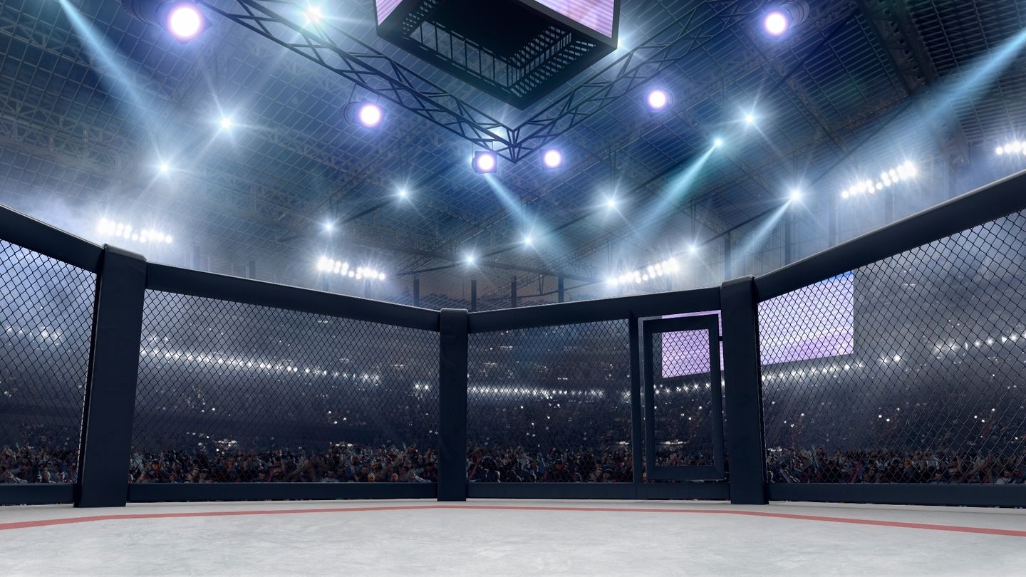 MMA: Fight Club Rush