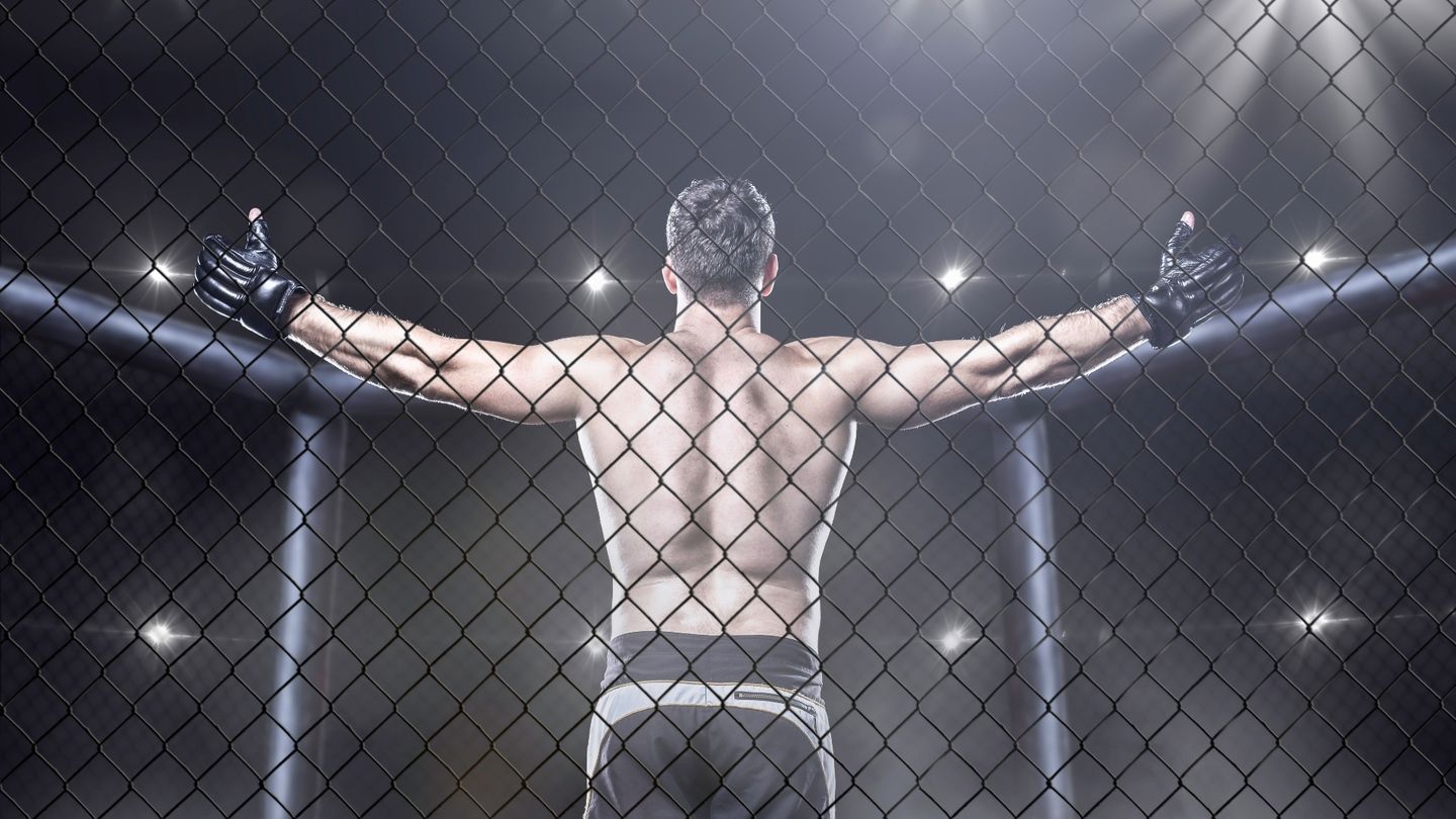 Mixed Martial Arts