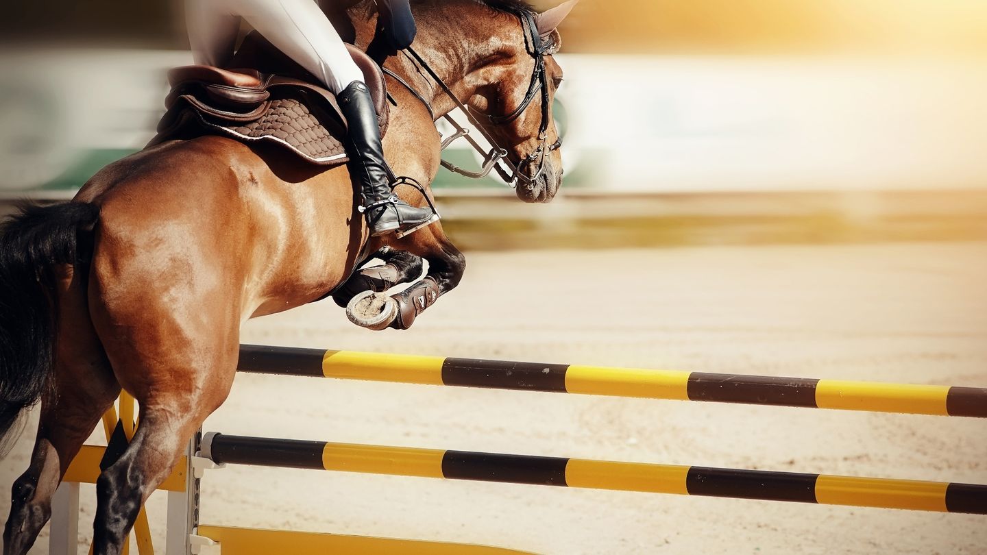 Jeździectwo: Longines Global Champions Tour w Ramatuelle