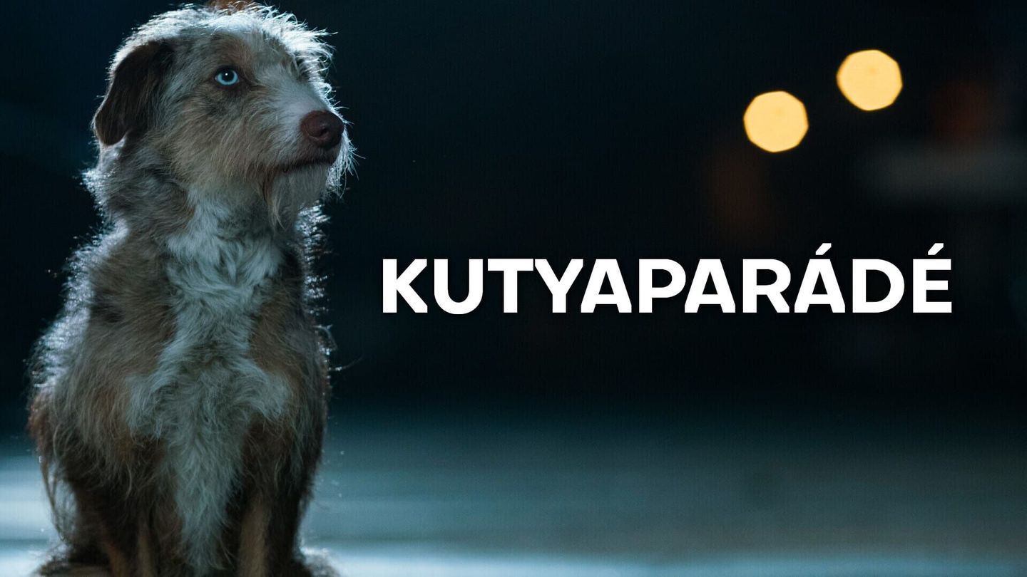 Kutyaparádé