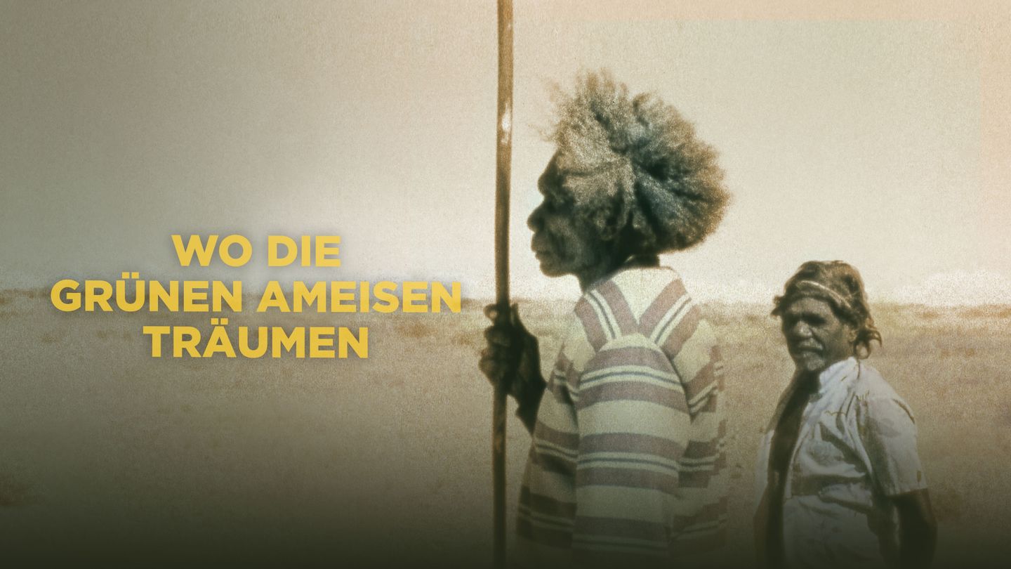 Wo die grünen Ameisen träumen