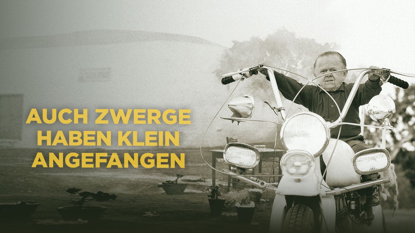Auch Zwerge haben klein angefangen