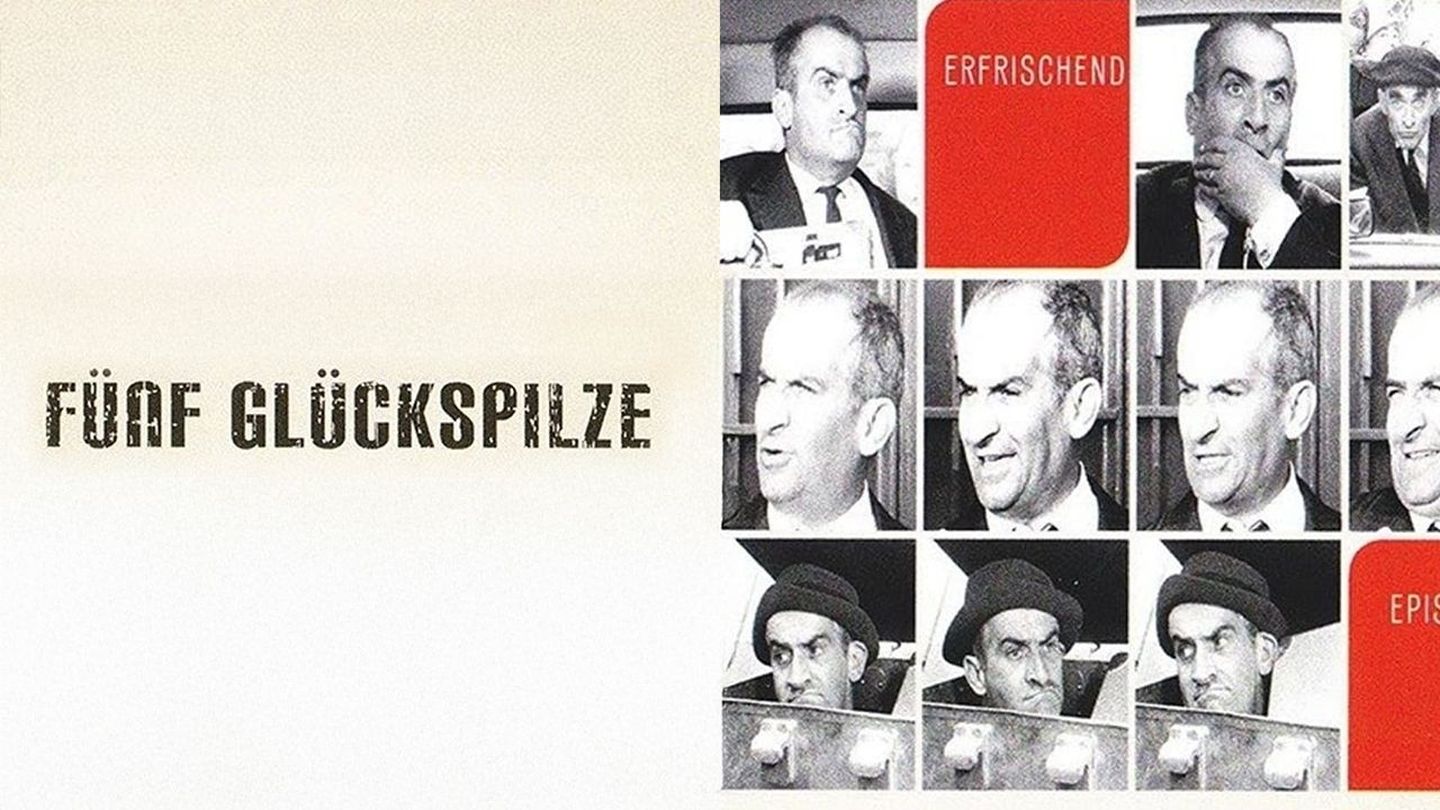 Fünf Glückspilze