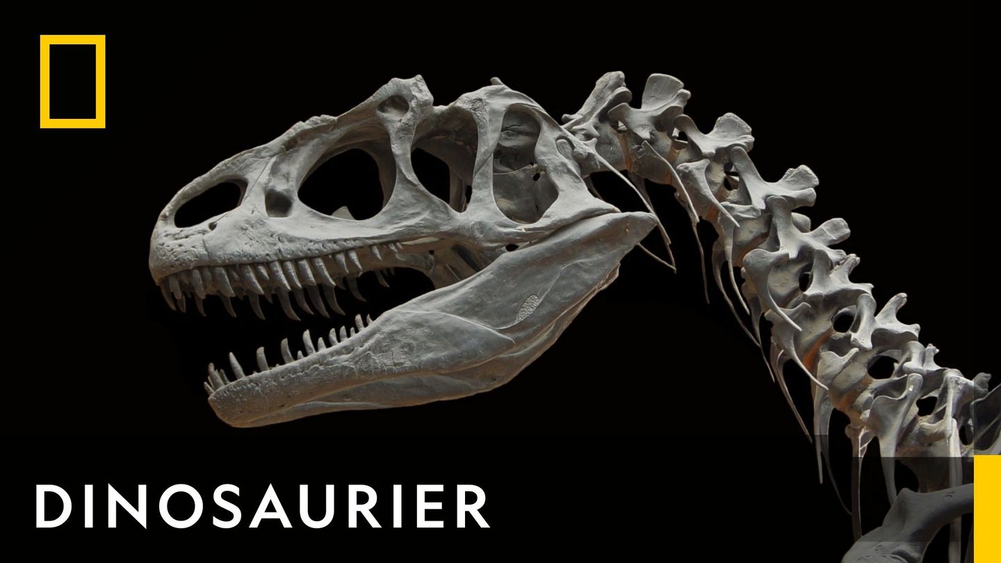 DINOSAURIER