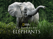 Les secrets des éléphants