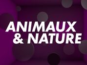 Animaux et Nature