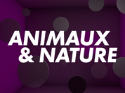 Animaux et nature