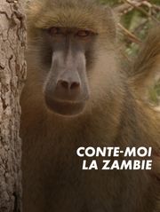 Conte-moi la Zambie